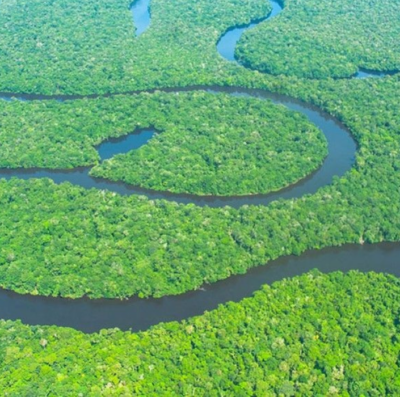 Parque Nacional Jaú (Foto: ICMBio)