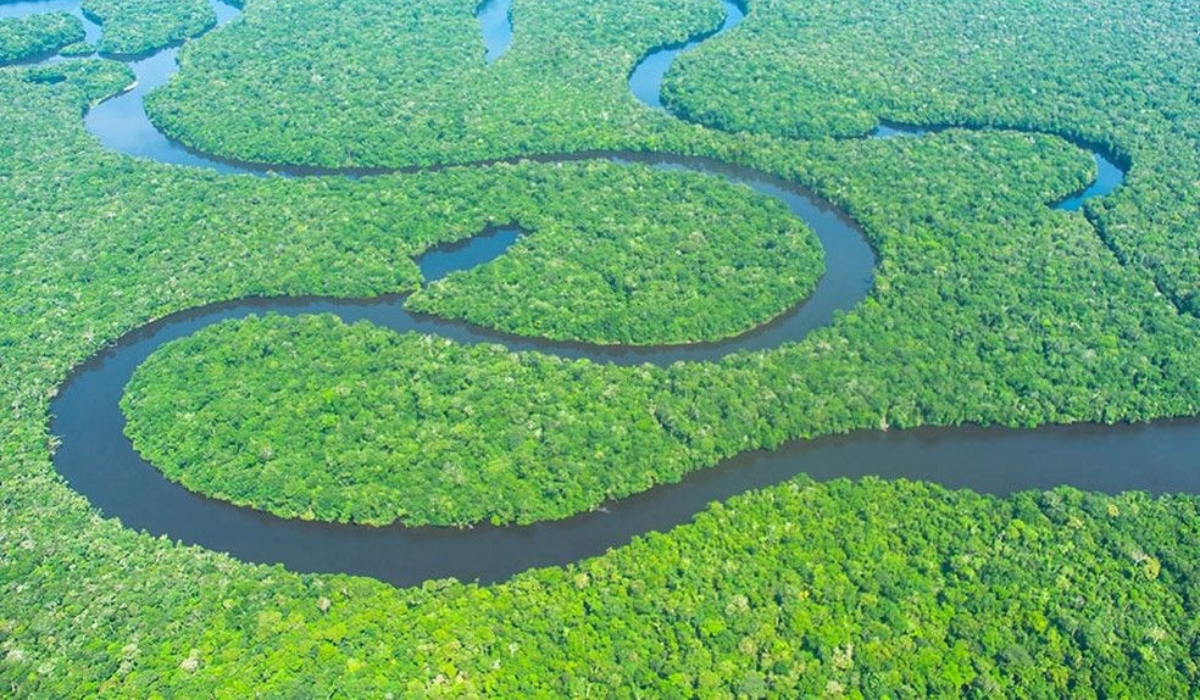 Parque Nacional Jaú (Foto: ICMBio)