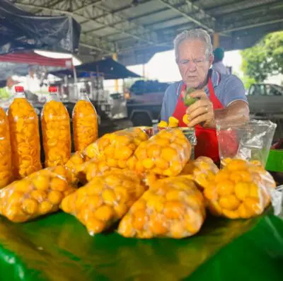 Sua polpa amarelada, envolta por espinhos, se transformou em um ingrediente fundamental da culinária goiana (Foto: Alexandre Paes)