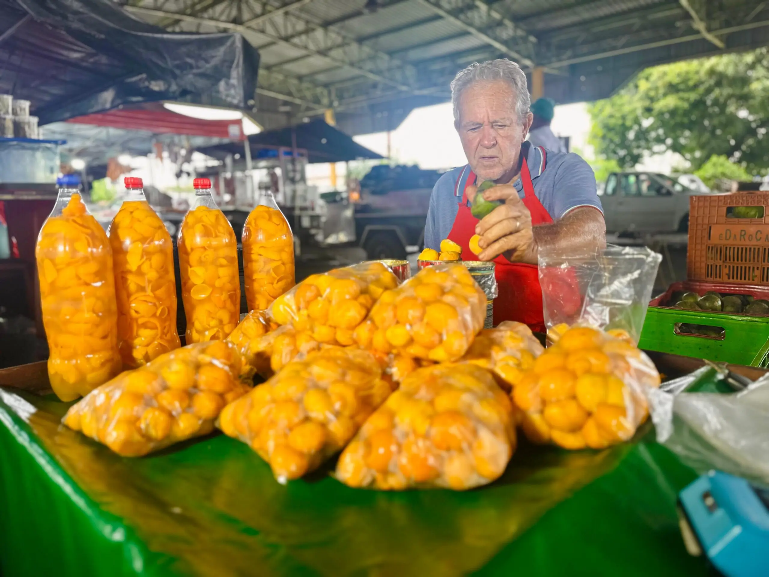 Sua polpa amarelada, envolta por espinhos, se transformou em um ingrediente fundamental da culinária goiana (Foto: Alexandre Paes)