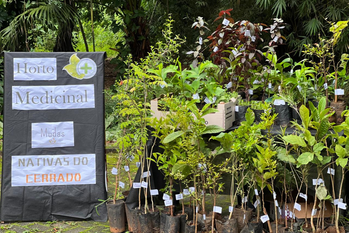 Parque Areião, em Goiãnia, recebe evento de conscientização ambiental (Foto: Amma)