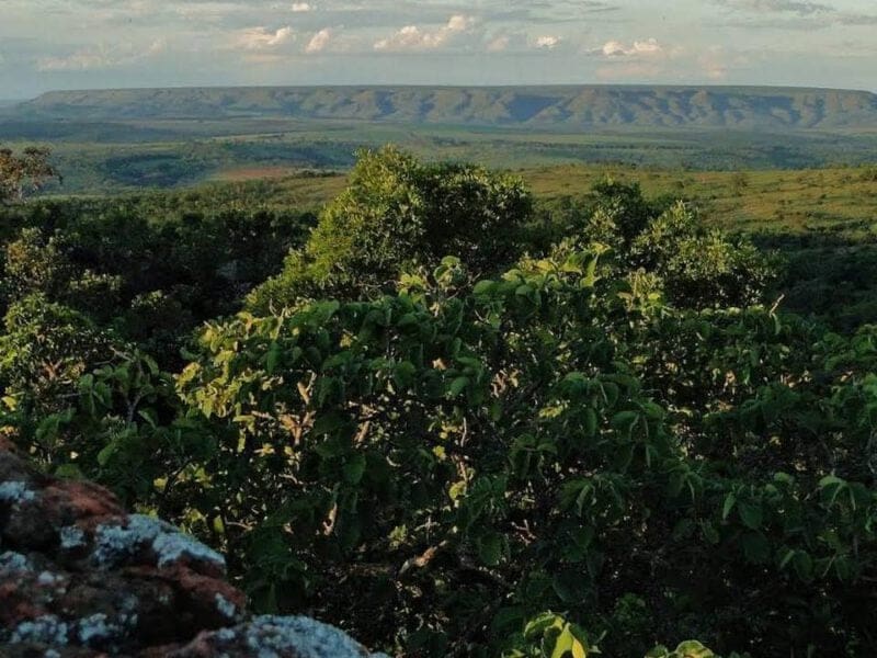 Mirante do Parque Nacional da Serra de Caldas oferece bela vista (Foto PESCAN)