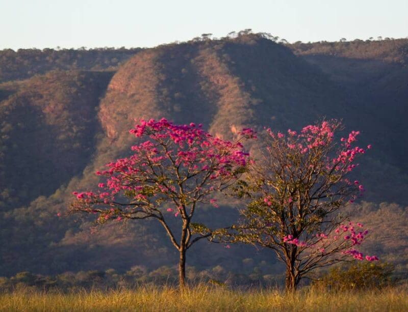 Paisagem no Parque Estadual da Serra de Caldas (Foto PESCAN)