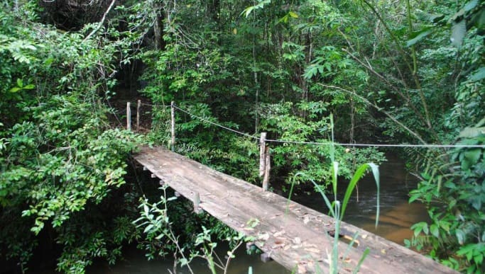 Trilha do Itaguassú, em Mambaí (Foto: Goiás Turismo)