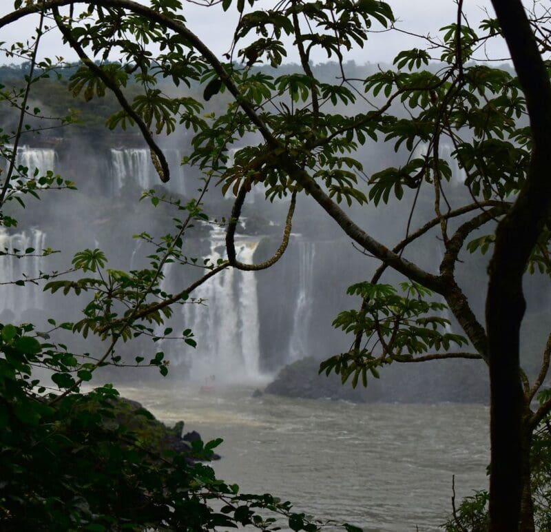 Cataratas do Iguaçu, no Parque Nacional do Iguaçu (Foto: Bruna Nieradka)