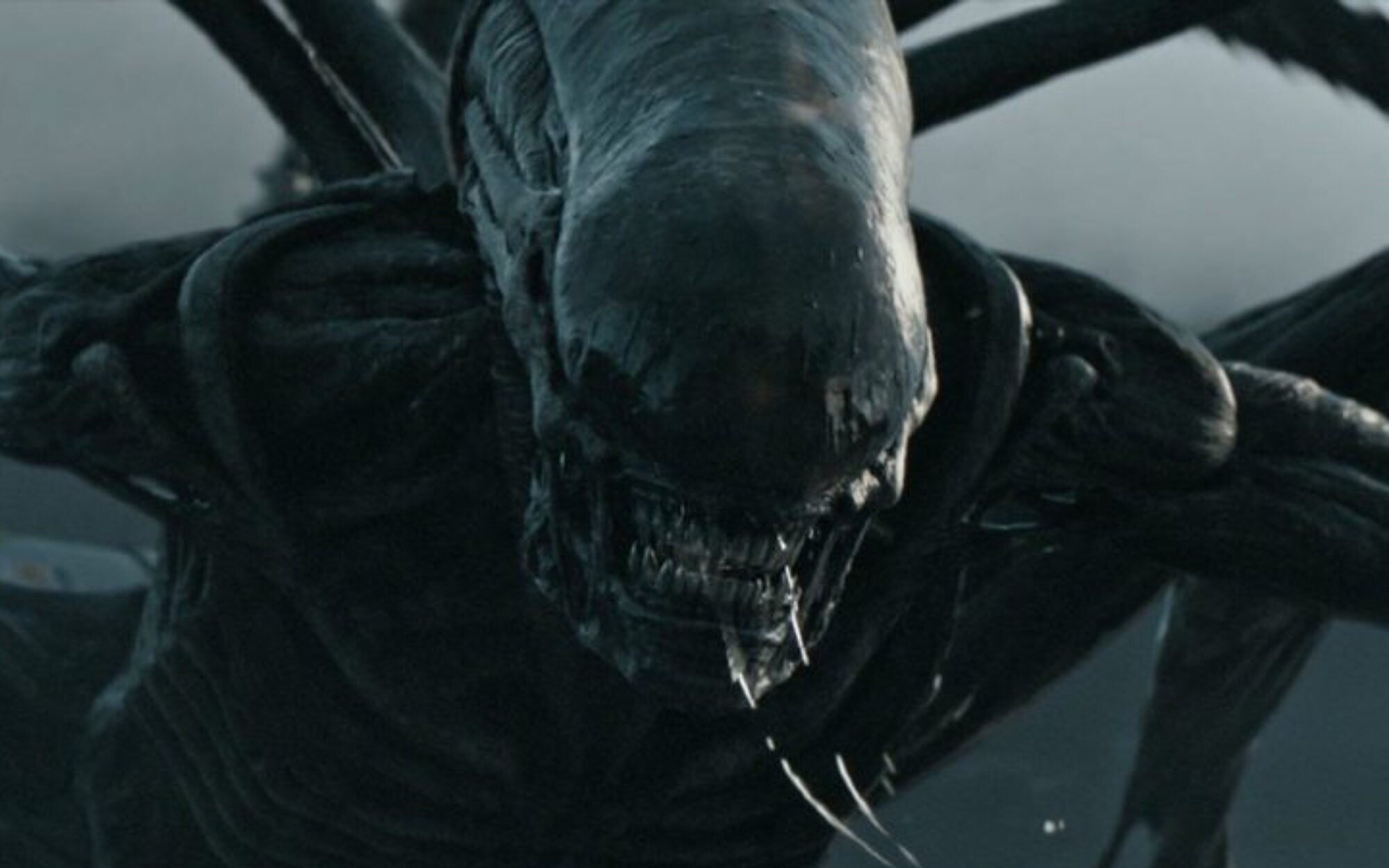 "Alien: Romulus" é novo filme de sucesso da franquia (Foto: 20th Century Studios)