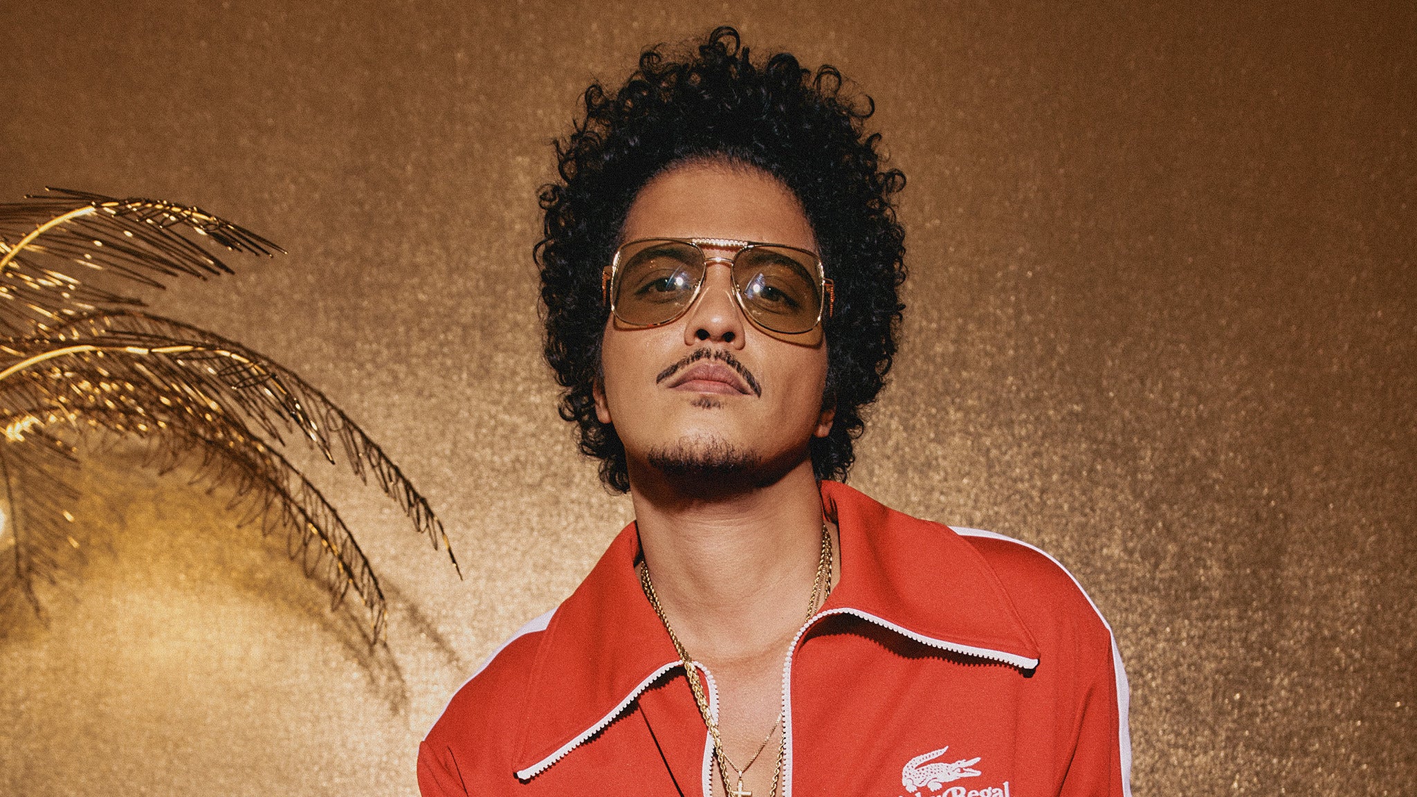 Bruno Mars fará diversos shows no Brasil (Foto: Live Nation)