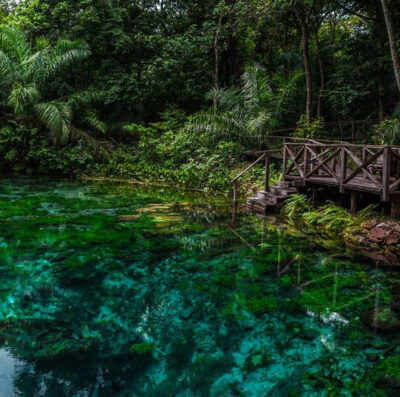 Bonito (MS) está entre os destinos indicados para quem busca por ecoturismo no Brasil (Foto: Kayak)