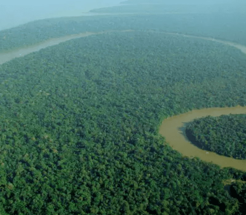 Floresta Amazônica, América do Sul (Foto divulgação)