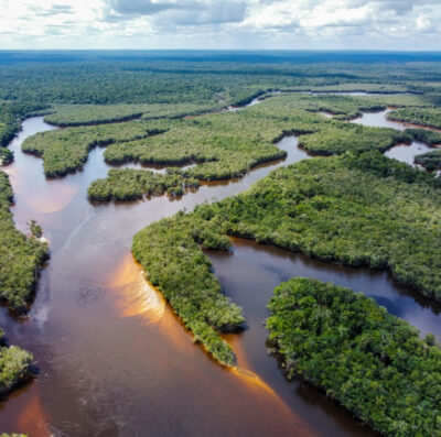 Floresta Amazônica, na América do Sul (Foto: divulgação)