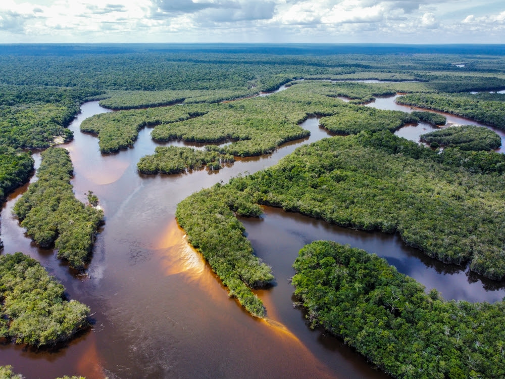 Floresta Amazônica, na América do Sul (Foto: divulgação)