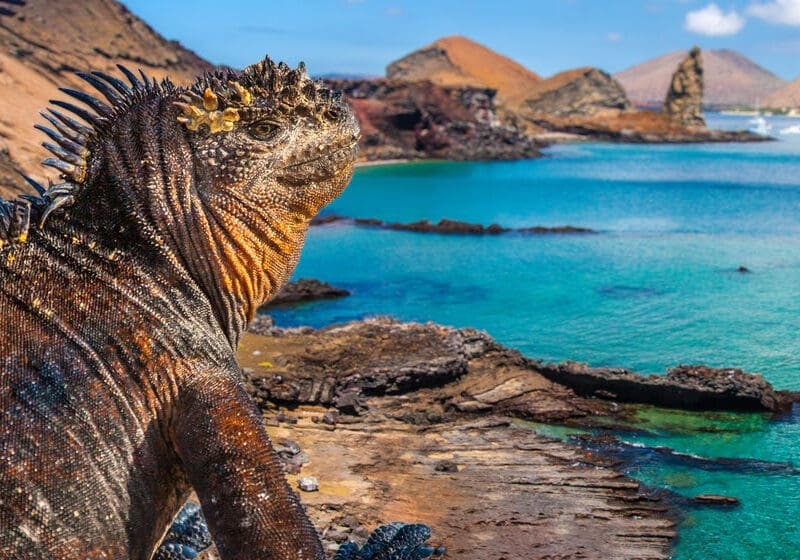 Ilhas Galápagos, Equador (Foto divulgação)