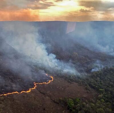 Incêndios também atingiram Chapada dos Veadeiros, em Goiás (Foto: CBMGO)