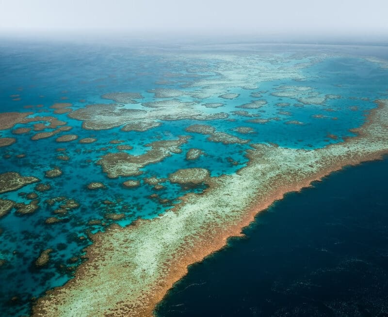 Grande Barreira de Coral, Austrália (Foto: divulgação)