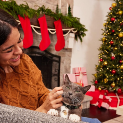 Cuide do seu pet neste fim de ano (Foto: Divulgação/Mars Petcare)