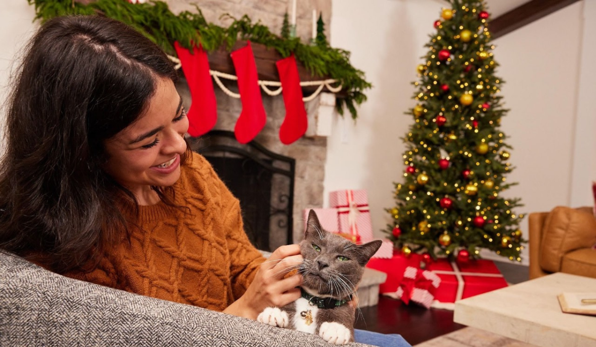 Cuide do seu pet neste fim de ano (Foto: Divulgação/Mars Petcare)