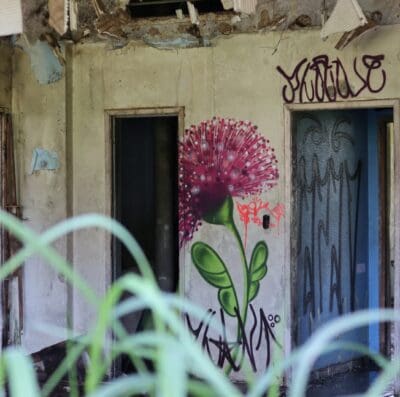 Acervo MUDDA ainda pode ser encontrado em Goiânia (Foto: divulgação)