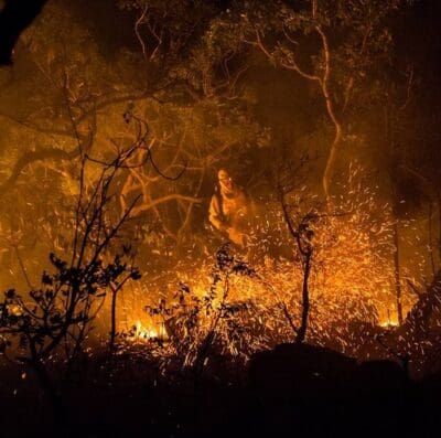 Cerrado em chamas (Foto: Secom Go)