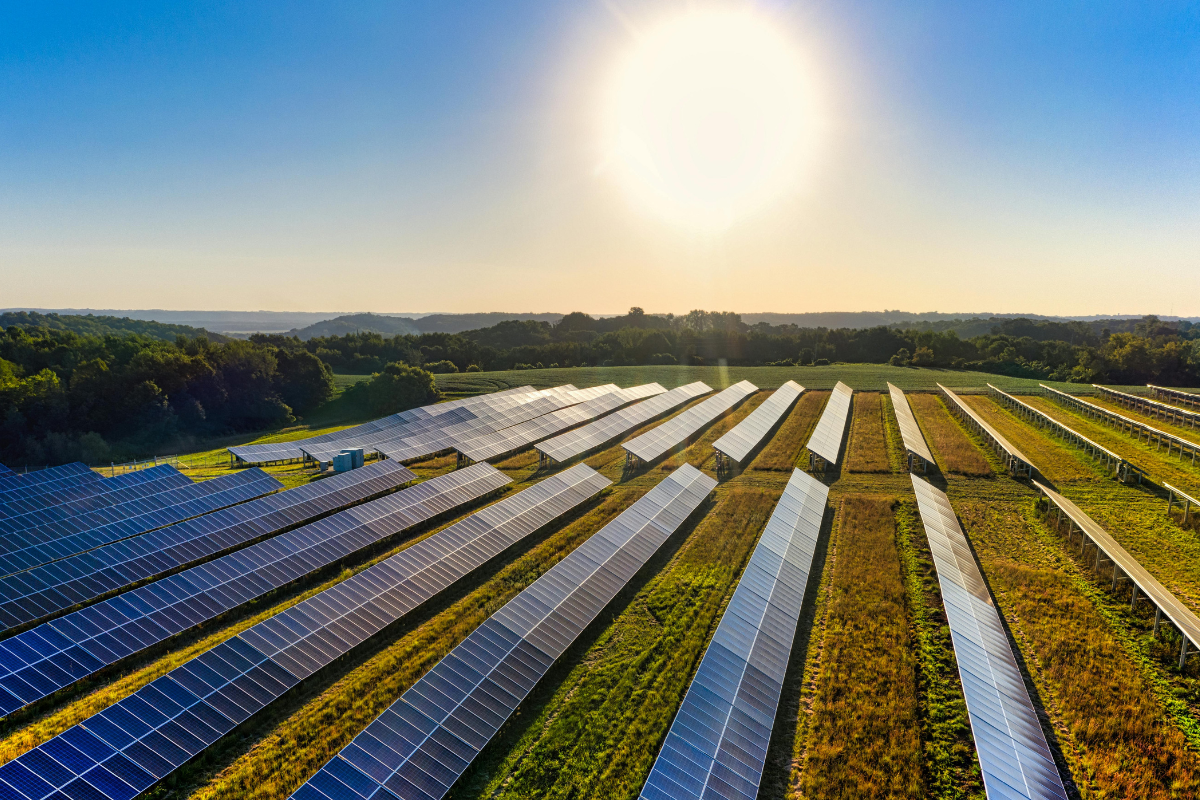 Guapó inaugura usina fotovoltaica (Foto: Pexels)