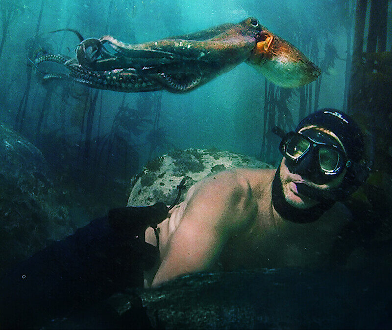 Filme documentário sobre a natureza: "Professor Polvo" (Foto: Netflix / Divulgação)