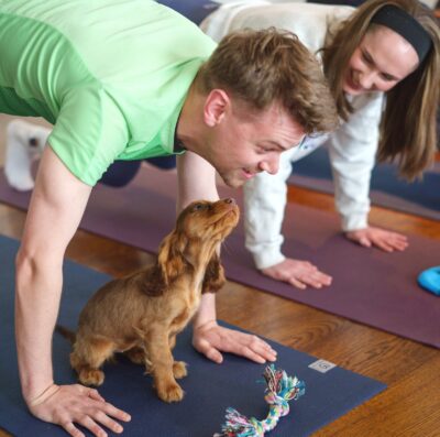 Filhotes de cães vão participar de aula de yoga em Goiânia (Foto :divulgação)